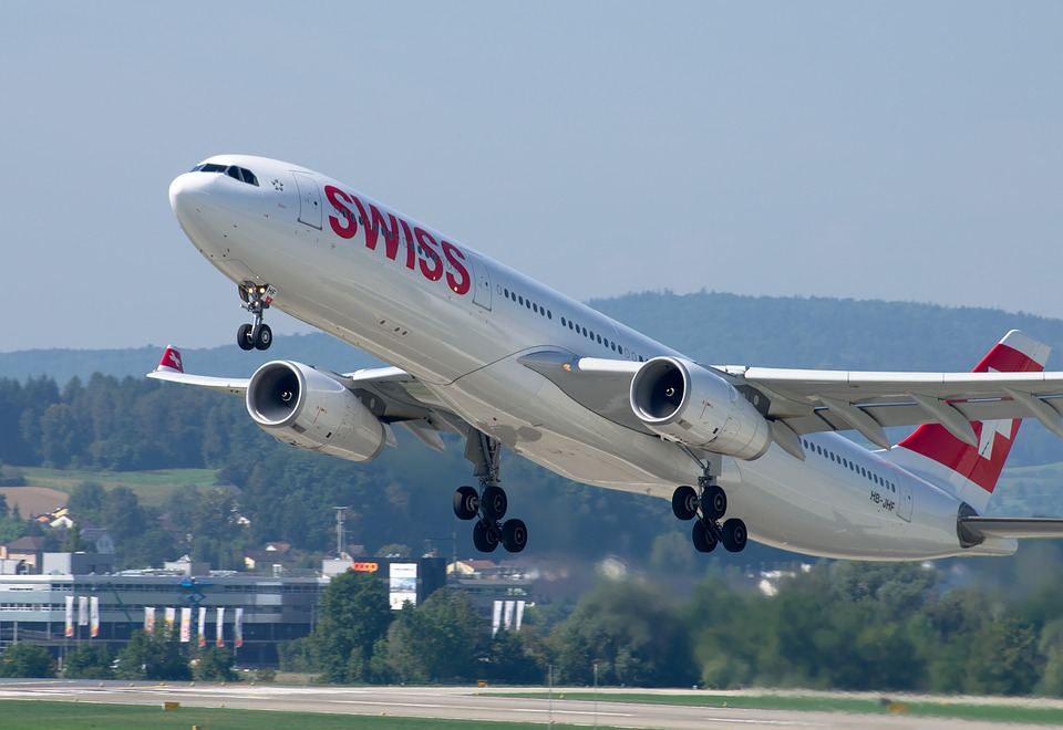 swiss air travel with dog