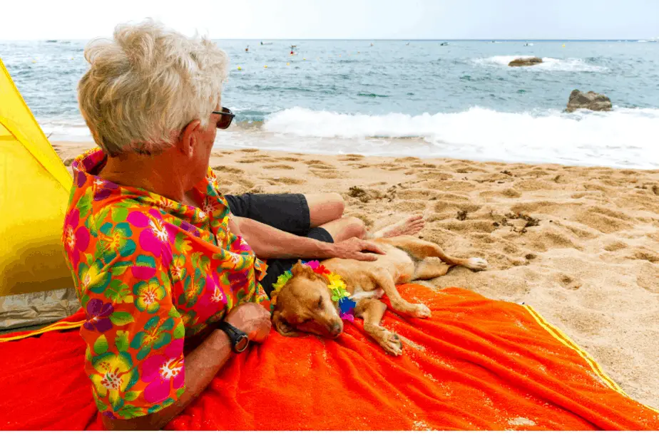 Can I Bring My Dog To Hawaii On Vacation Dogs Travel Guide