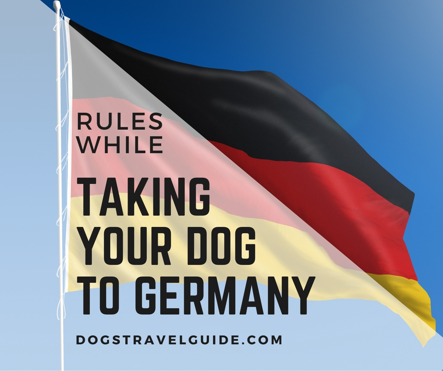 pet travel requirements germany