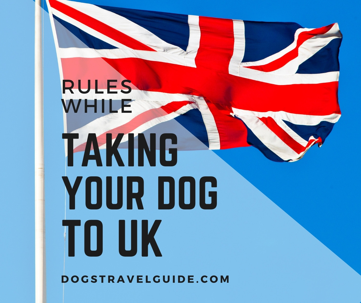 Bringing Your Dogs To UK: Rules And Regulations - Dogs Travel Guide