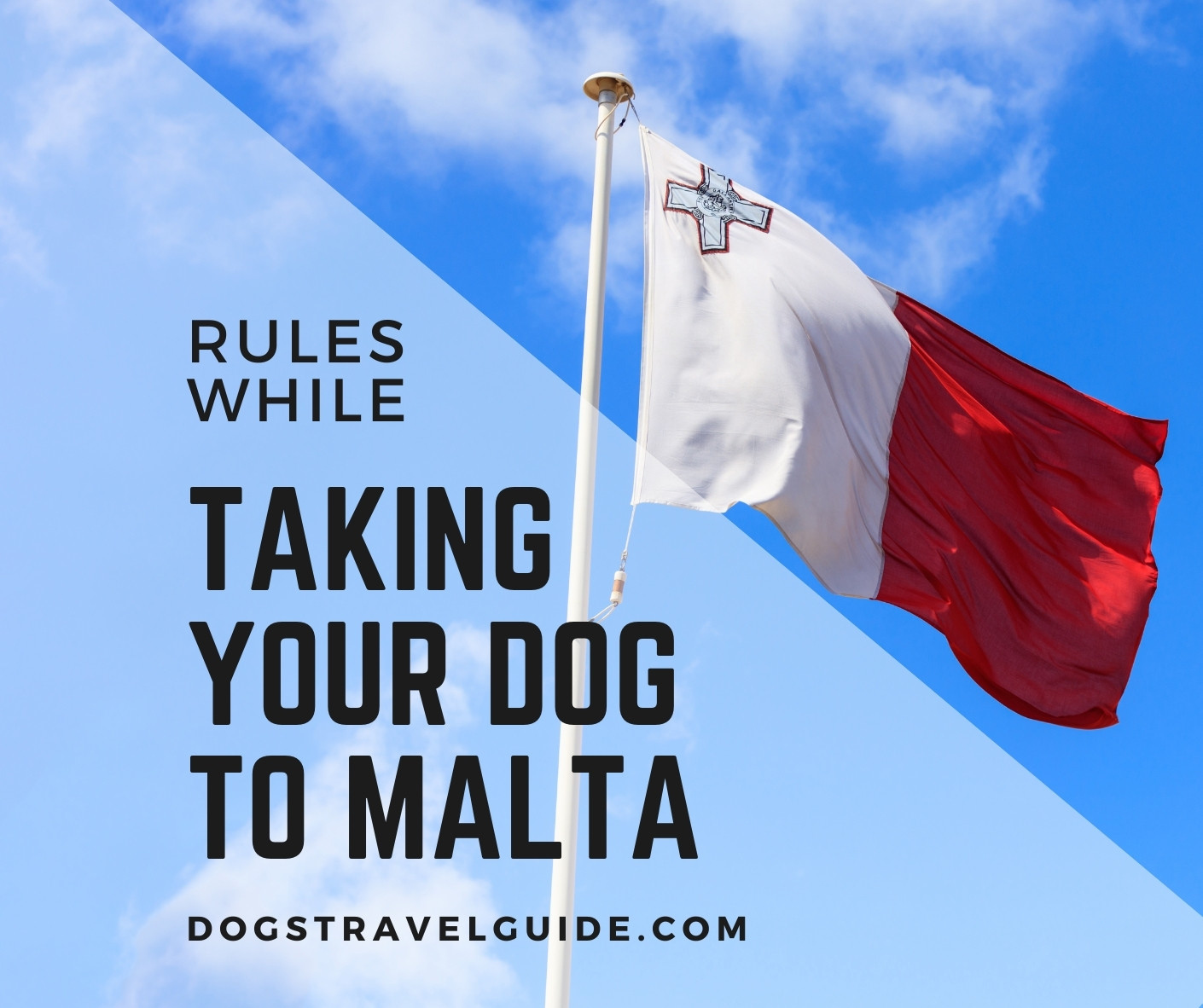 taking-a-dog-to-malta-rules-regulations-dogs-travel-guide