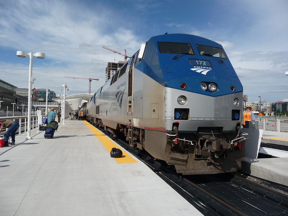 can a dog travel on amtrak