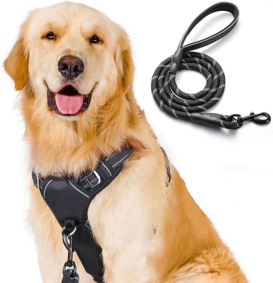 Rabbitgoo Dog Harness Size Chart