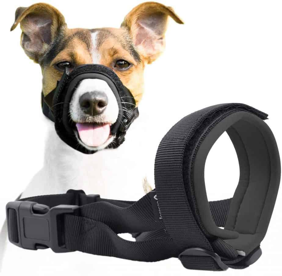 muzzle that allows dog to eat