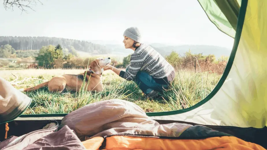 10 Hot Tips For Keeping Your Dog Warm In Tent - Dogs Travel Guide