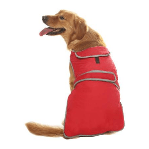 8 Best Waterproof Dog Coats With Underbelly Protection | Dogs Travel Guide