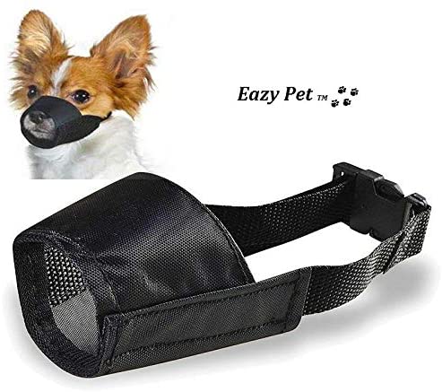 Top 8 Dog Muzzles For Small Dogs & Puppies | Dogs Travel Guide