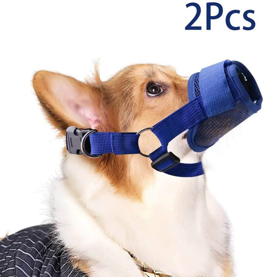 dog muzzles for small dogs