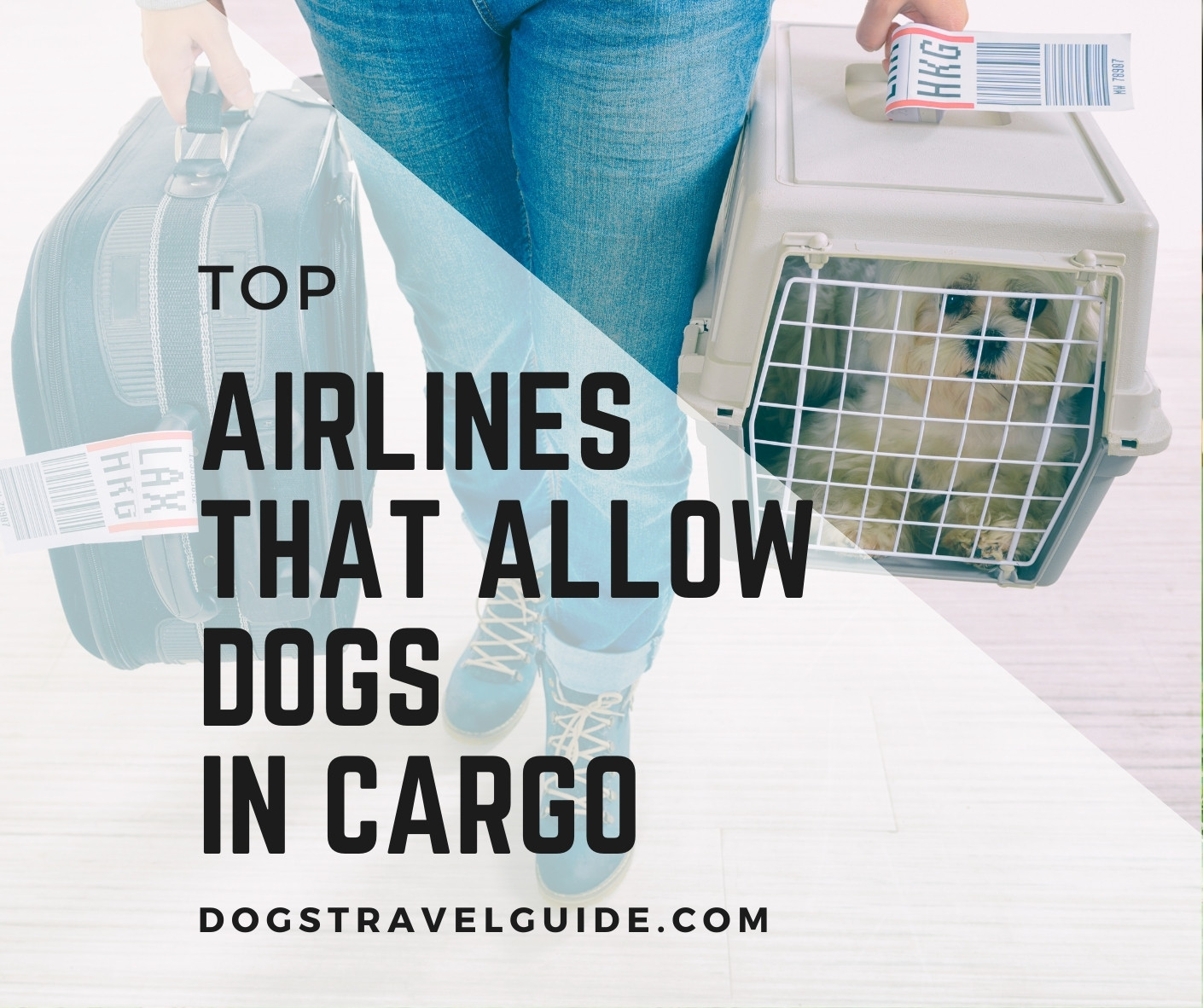 Which Airlines Allow Pets In Cargo 2021