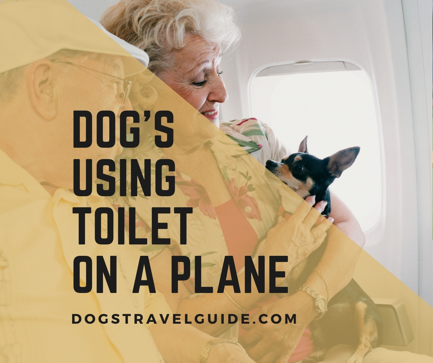 how do dogs go to the bathroom on long flights