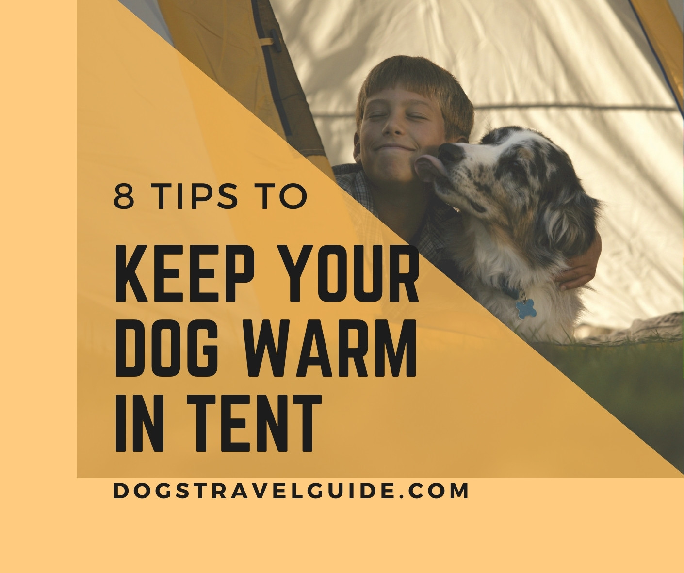 Top 18 How To Keep My Dog Warm When Camping Lastest Updates 09/2022