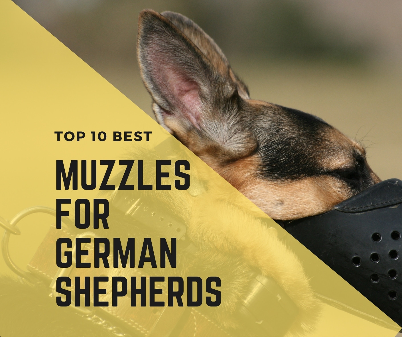 10 Best Dog Muzzles For German Shepherds: 2021 - Dogs Travel Guide