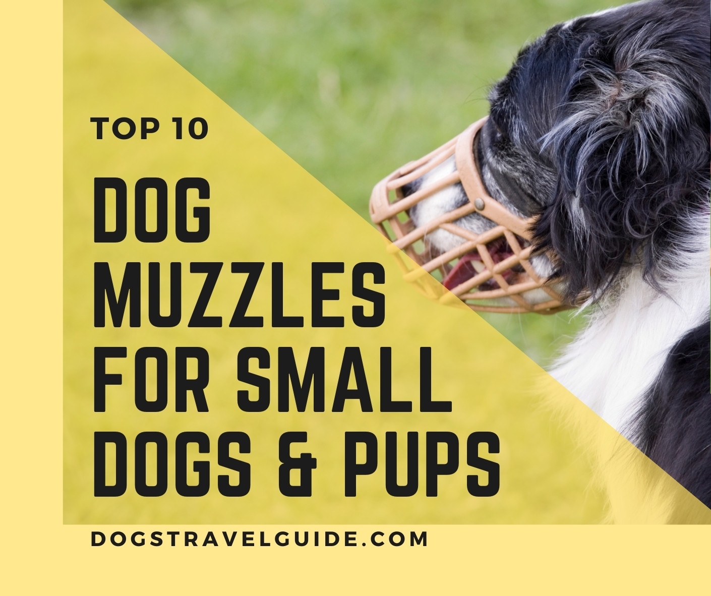 x small dog muzzle