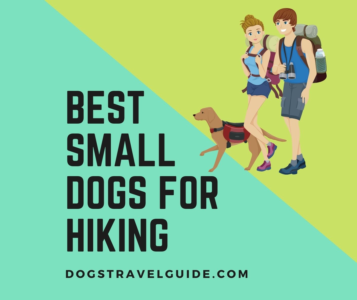 11 Best Small Dogs for Hiking - Dogs Travel Guide