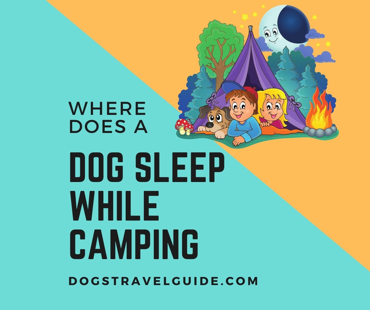 where-do-dogs-sleep-while-camping-5-places-dogs-travel-guide