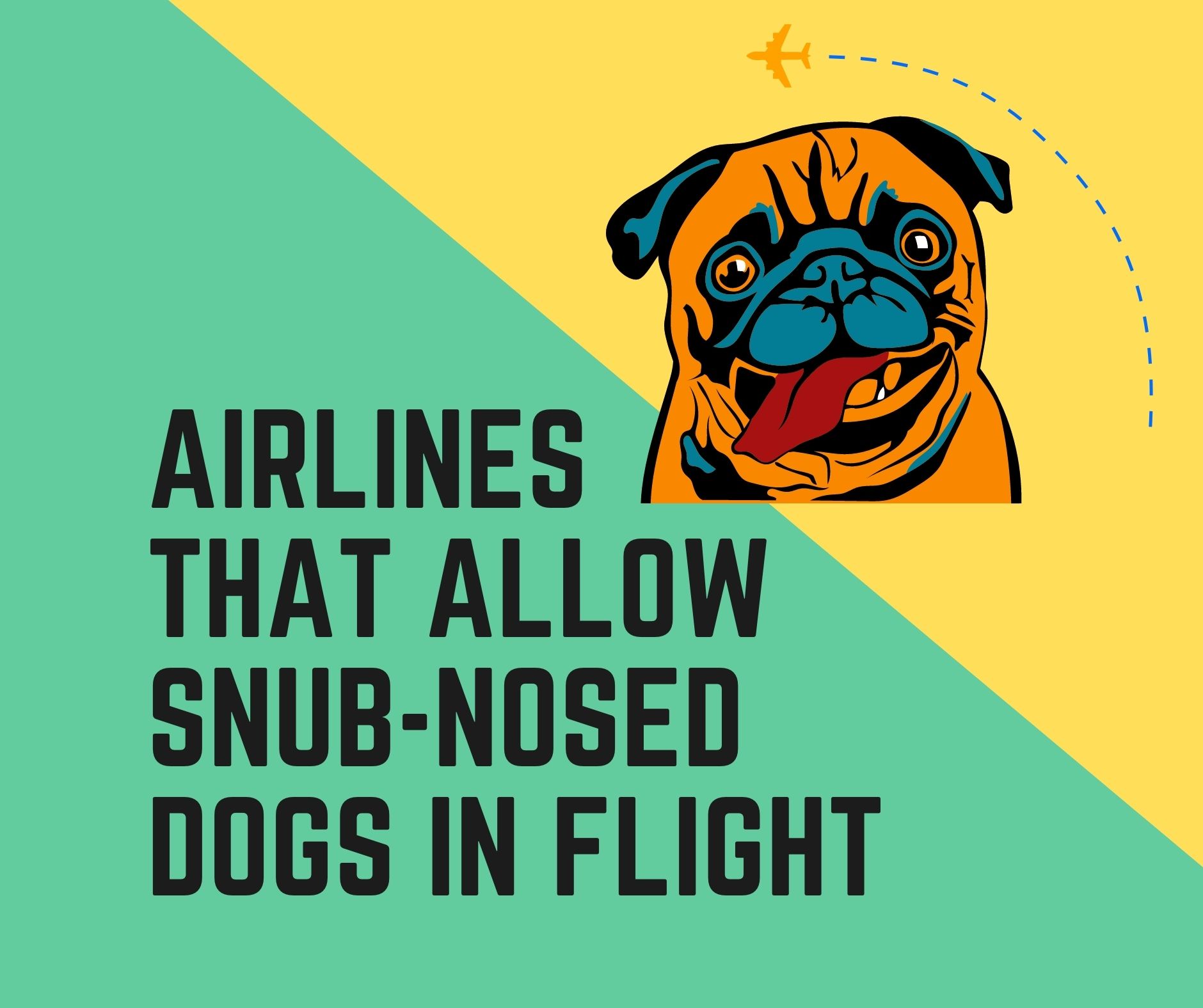 16 Airlines That Allow Snub Nosed Dogs 2022 Guide Dogs Travel Guide