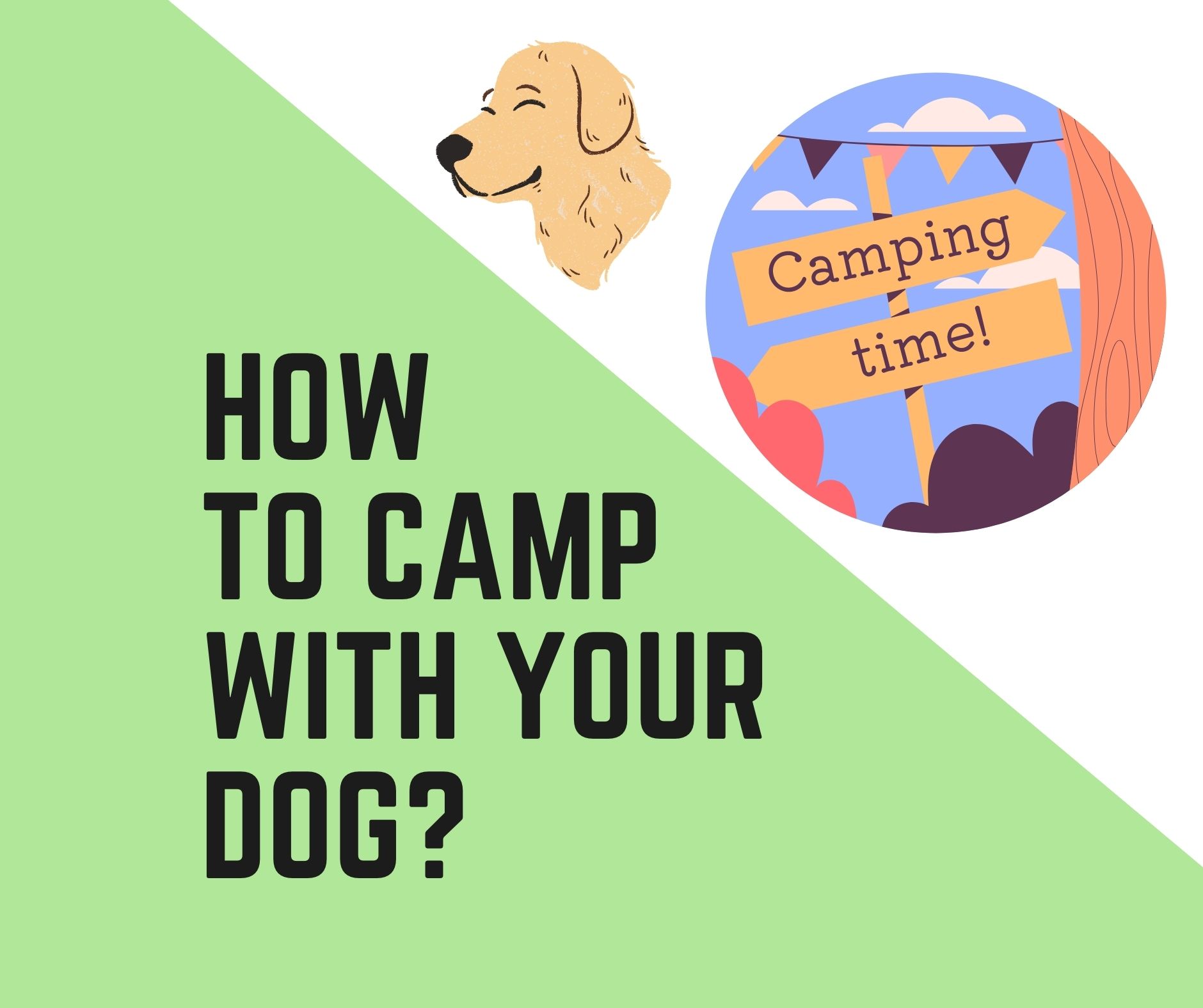 7 Ways to Keep Your Dog Busy at Camp – YouDidWhatWithYourWiener.com