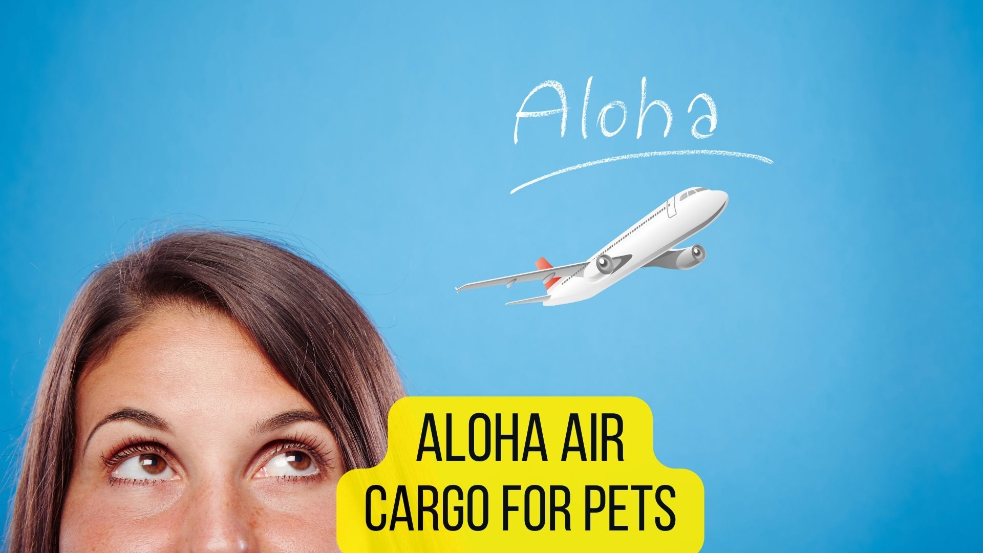 16 Airlines That Allow Snub-Nosed Dogs [2022 Guide] - Dogs Travel Guide