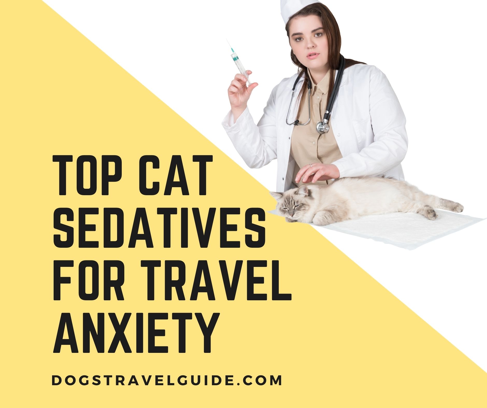 5 Natural Cat Sedatives for Travel Anxiety [2024 Guide] - Dogs Travel Guide